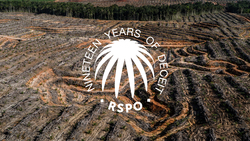 Medium_[en]_rspo_graphic